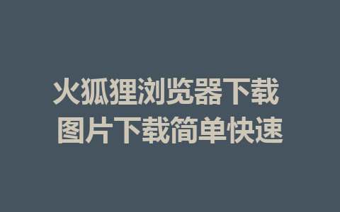 火狐狸浏览器下载 图片下载简单快速